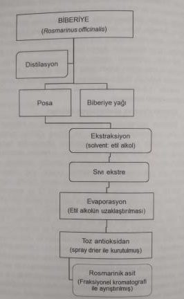 Antioksidan Üretimi
