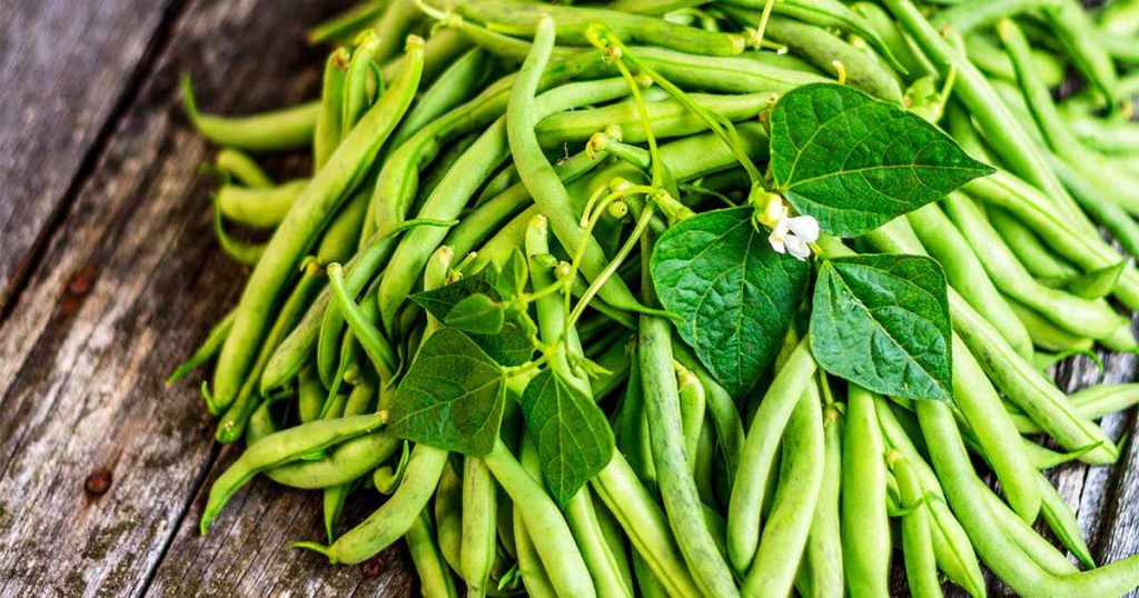 Grow-Green-Beans